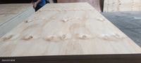4x8 Knot Pine Wood Timber Plywood CDX Pine Plywood Construction Roofing Floor Panel