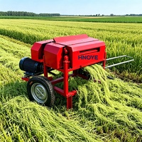 Machine d'extraction de fibres de feuilles d'ananas, transformation des déchets agricoles en fibres textiles précieuses