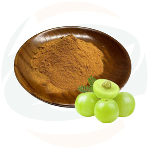 Extrait de Phyllanthus Emblica 10:1 en poudre, produit phare de China-Herb - Product Image 1