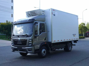 Camión Refrigerado Howo 4m de Nueva Energía |   Fabricante de Camiones de Cadena de Frío de 300 km |   Lista de Precios de Furgonetas Refrigeradas Eléctricas de 18m³ - Product Image 2