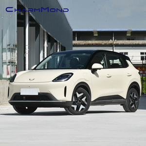 Voiture électrique Wuling Binguo S, berline compacte, 525 km/325 km d'autonomie, idéale pour les trajets quotidiens, les familles et la ville, avec recharge rapide. - Product Image 1