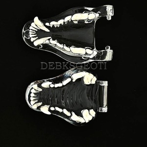 Modèle dentaire canin transparent pour clinique vétérinaire, usage pédagogique et décoration - Product Image 5
