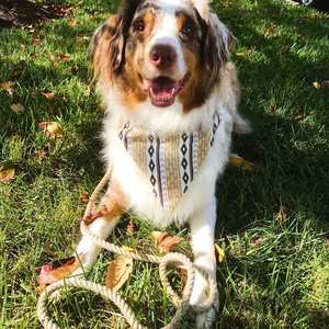 Nuevo Producto 2026 2022 Correa de Lujo para Perro, Nueva Correa de 150 cm con Efecto Ombré, Cuerda Suave de Algodón y Nailon con Luces de Aleación, Correa de 150 cm con Efecto Ombré del Fabricante - Product Image 6