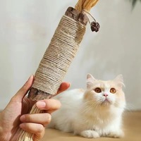 Jouet à mâcher naturel Matatabi pour chat, bâtonnets de nettoyage des dents, herbe à chat, accessoires pour chats