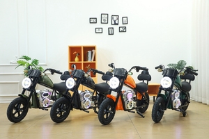 Motocicleta Todoterreno de Dos Ruedas, 24V, Arranque Eléctrico, Mini Moto Eléctrica para Niños y Adultos, Motocicleta Todoterreno Eléctrica para Niños - Product Image 4
