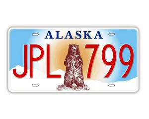 License Plate of the USA Embossed Novelty Metal Number Tags, Prop Car Registration Plates, 12x6 Inches