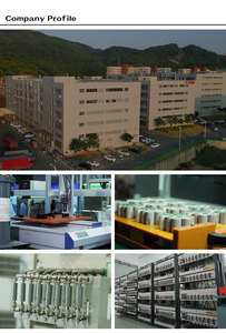Batterie Li-ion 12V 18Ah avec solutions OEM/ODM - Haute personnalisation pour les applications de vélos électriques, solaires et industrielles - Product Image 5