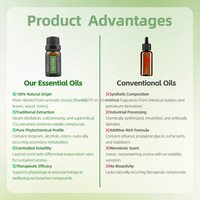 Extraits d'herbes entièrement naturels, huile essentielle de citronnelle pure à 99 %, anti-insectes et analgésique, parfum d'agrumes