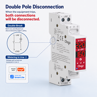Interrupteur intelligent Zigbee TUYA 2P à double disjoncteur, relais Hongfa 100-240V, disjoncteur L-N/L-L 18mm, Tuya Smart Life TOVMT Chayo