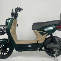 Vélo électrique populaire en Amérique du Sud, modèle 48V, biplace pour adultes, avec moteur électronique sans balais à moyeu arrière haute vitesse, personnalisé en usine