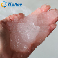 Machine à glace Koller 1 tonne/jour, machine à glace pilée pour projet de refroidissement alimentaire, boîte de pêche utilisée