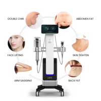 Machine de thérapie à rouleaux Endos de rajeunissement de la peau pour la tête du corps, les mains du sein, les pieds, les lèvres, la perte de poids et le levage du visage