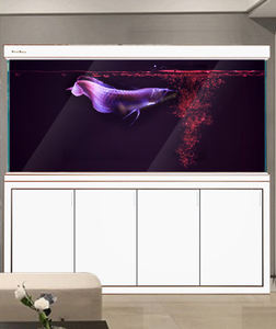 Op maat gemaakte grote Arowana-visbak van glas - Product Image 4