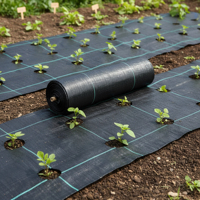 Toile tissée en polypropylène anti-mauvaises herbes pour jardin et aménagement paysager, avec résistance UV stable