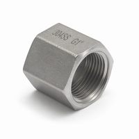 Raccord hexagonal CNC en acier inoxydable 304 BSPP BSPT 3000 PSI, filetage femelle 1/2, 3/4, 1 pouce, surface lisse, usage industriel