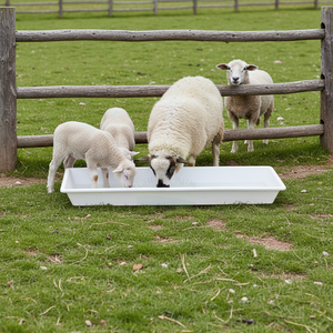 Abreuvoir pour animaux en <span class=keywords><strong>plastique</strong></span> PP écologique - Bac à eau blanc de 1 m pour moutons et bovins - Équipement agricole durable - Product Image 1