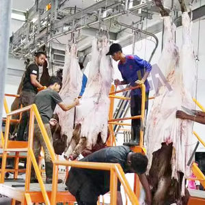 Equipo de Matadero para Ganado Vacuno, Máquina de Sacrificio para Toros y Bovinos - Product Image 2