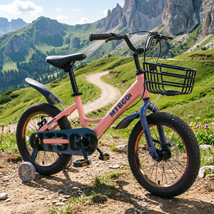 Fabricant MTBGO, Vélo pour filles et garçons, style design montagne, cadre en acier CE, frein à disque, vélo pour enfants - Product Image 5
