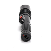 Lampe de poche portable de sécurité pour femmes avec lampe tactique rechargeable Sabre 105 LED haute puissance pour une utilisation en extérieur