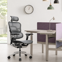 Silla de Oficina Ergonómica de Malla Patentada Premium, OEM ODM, Venta al por Mayor, Asiento para Computadora, para Muebles de Oficina, para Estar Sentado por Tiempo Prolongado