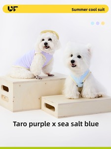 Wholesale Custom Breathable Pet Harness Vest Cool Summer Dog Clothing Fashion Casual Puppy <b>Clothes</b> Small Medium OEM - Product Image 2