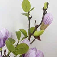 Fleur artificielle réaliste faite à la main, Magnolia Ruyi, décoration moderne pour la maison, mariage, fête des mères, vente en gros