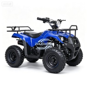Quad électrique pour enfants ZHUOXUAN STC056 36V 500W, mini quad à quatre roues, véhicule tout-terrain pour l'extérieur, construction en plastique et en fer, toutes saisons - Product Image 1