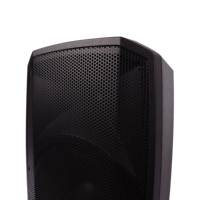 Module d'amplificateur en plastique Accuracy Pro Audio CAV15D3 15 pouces, haut-parleur de caisson de basses actif pour karaoké DJ, enceintes Powerde, boîte de haut-parleurs professionnelle