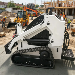 Fast Shipping Interchangeable <b>Tracks</b> and Tires Mini Skid Steer with for Sale - Product Image 2