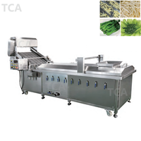 Frietjes Was-En Blancheermachine Voor De Groente-En Fruitverwerkende Industrie