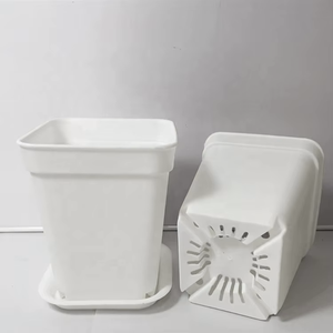 Grande jardinière carrée en plastique de style coréen épaissie pour succulentes cactus vieille souche affiche de fleurs plantes potagères utilisation plancher - Product Image 3