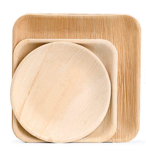 Dùng Một Lần Phân Hủy Sinh Học Vuông Areca Lá Tấm Tre Đồ Ăn Bộ Đồ Ăn Cho Nhà Hàng Dao Kéo - Product Image 5