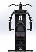 Appareil de musculation multifonctionnel 2-en-1 pour entraînement complet du corps, machine de force à station unique avec poids réglable pour la remise en forme à domicile
