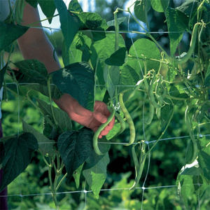 Treillis <span class=keywords><strong>de</strong></span> jardin Support <span class=keywords><strong>pour</strong></span> plantes <span class=keywords><strong>Filet</strong></span> extérieur Tiges <span class=keywords><strong>de</strong></span> vigne Protéger le <span class=keywords><strong>filet</strong></span> <span class=keywords><strong>de</strong></span> treillis <span class=keywords><strong>de</strong></span> chanvre - Product Image 4