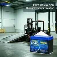 Batterie de traction lithium-ion 12V 200AH au phosphate de fer lithium sans entretien pour usine et entrepôt, certifiée CE UL, OEM ODM