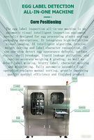 Machine automatique d'inspection et de tri des œufs avec détection visuelle par IA, pesage précis et élimination des œufs défectueux