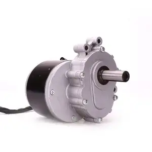 12V 24V 250watts W Electric Vehicle Wheelchair DC Brush Brushless Gear Motor Engine Drive with electromagnetic brake