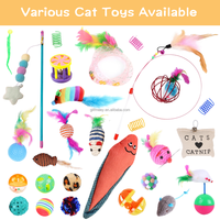 Ensemble de jouets interactifs pour chat, 20, 24 ou 30 pièces, tunnel en peluche pour chaton, lit en forme de beignet, tunnel pliable pour chat avec jouets pour chat