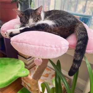 <strong>Cat</strong> <strong>Tree</strong> and Tower for Indoor Luxury Wooden <strong>Cat</strong> Condo for Large <strong>Cats</strong> - Product Image 5