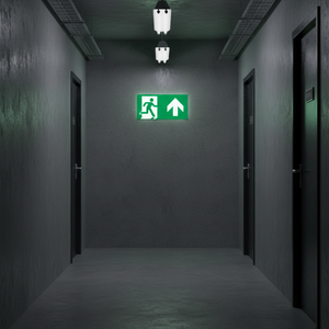 Uscita di emergenza segno freccia sinistra-125 in PVC luminescente * 300 mm - Product Image 3