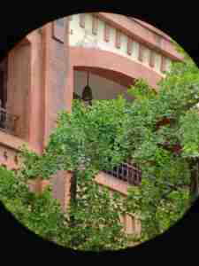 2025 mới faddish Vogue 10x42 phong cách không thấm nước Ống nhòm cao rõ ràng đầy màu sắc nóng bán kính thiên văn thời trang bán hàng khuyến mãi - Product Image 2