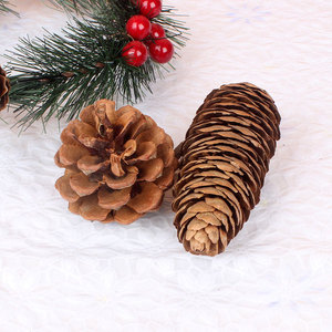 2025 Nuova Decorazione Natalizia Popolare ONE FLOWER, Grande <span class=keywords><strong>Pigna</strong></span> Naturale 2-10cm, a Forma di Albero, Ecologica e Durevole - Product Image 4