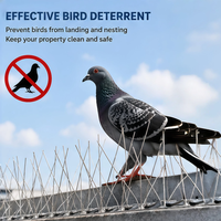Piques anti-oiseaux 100 % acier inoxydable massif, résistantes aux intempéries et aux UV, sans base en plastique, 50 cm, respectueuses de l'environnement, durables et écologiques