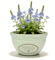 Pot de fleurs élégant en céramique de 11,61 pouces, léger, aspect brillant, bol à olives