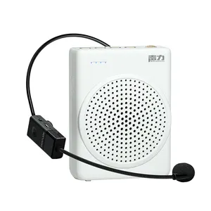 2024 Newly Launch Cheap Low-price Rechargeable UHF Wireless Microphones Portable Voice Amplifier Professional Speaker