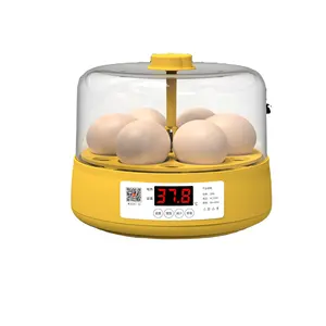 Automatic Incubator 6 Egg Incubators, Automatic Egg Turning