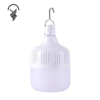 Ampoule LED rechargeable 20W pour stand de marché nocturne portable