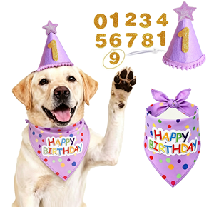 Suministros para Fiesta de Cumpleaños de Perro, Conjunto de Disfraces con Pañuelo y Sombrero de Feliz Cumpleaños para Perro, con Pegatinas de Números, Disfraz Ajustable para Mascotas, Regalo para Perros - Product Image 3