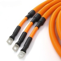 Harnais de câblage haute tension M6 à anneaux - Gamme de température -40~125°C - Conducteur en cuivre nu - Harnais de câblage en caoutchouc