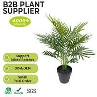 Promotion : Palmier Artificiel Haut de Gamme en Plastique, Réaliste, en Pot de 50 cm, Idéal pour la Décoration de Bureau, Table ou Coin de Table – Plante de Palmier Artificielle